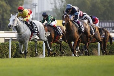 horse-race1-1